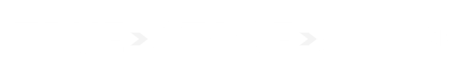 True Stage Audio